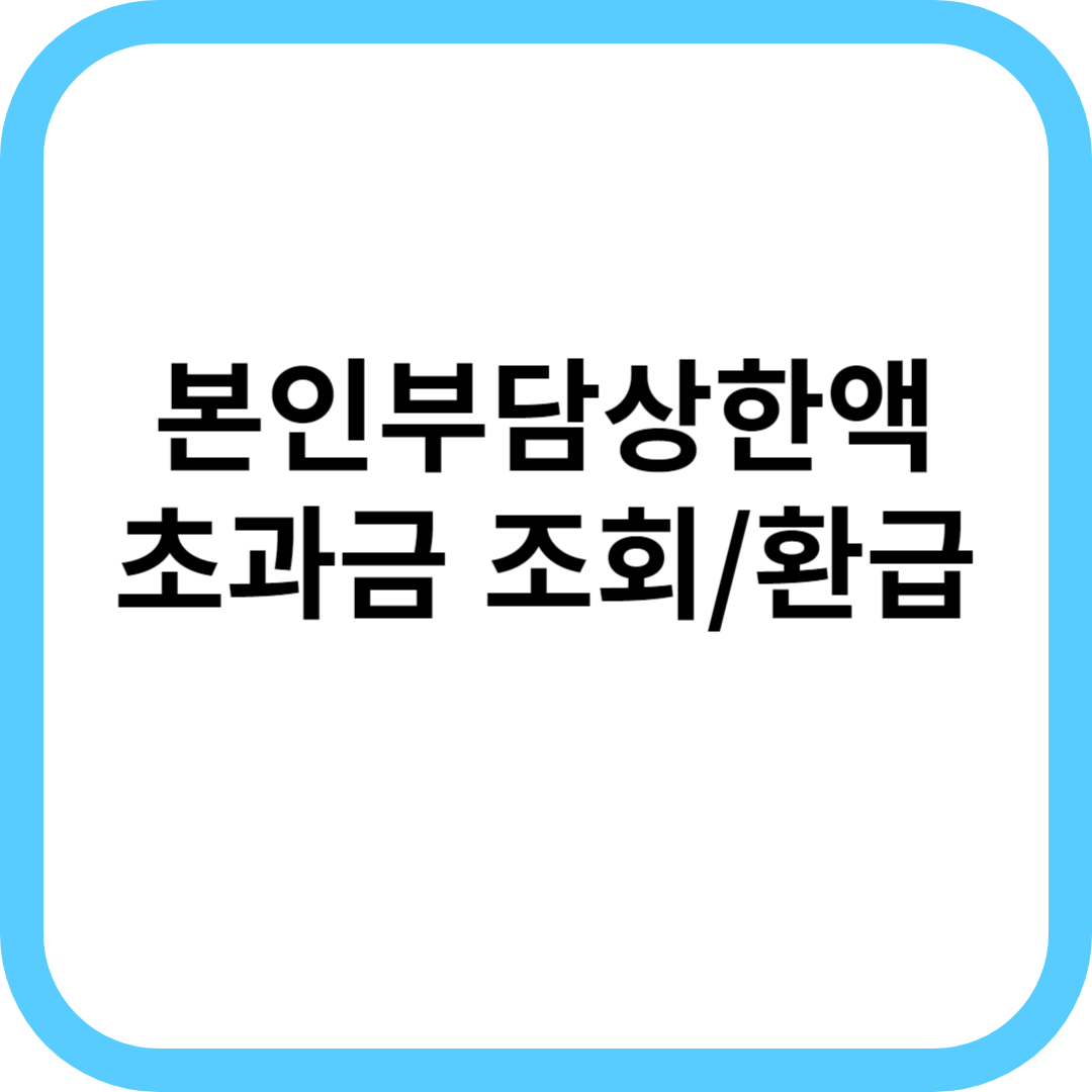  본인부담상한액 초과금 조회