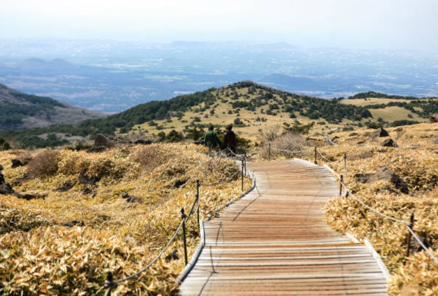 한라산 국립공원 홈페이지&amp;#44; 한라산 등산코스 안내