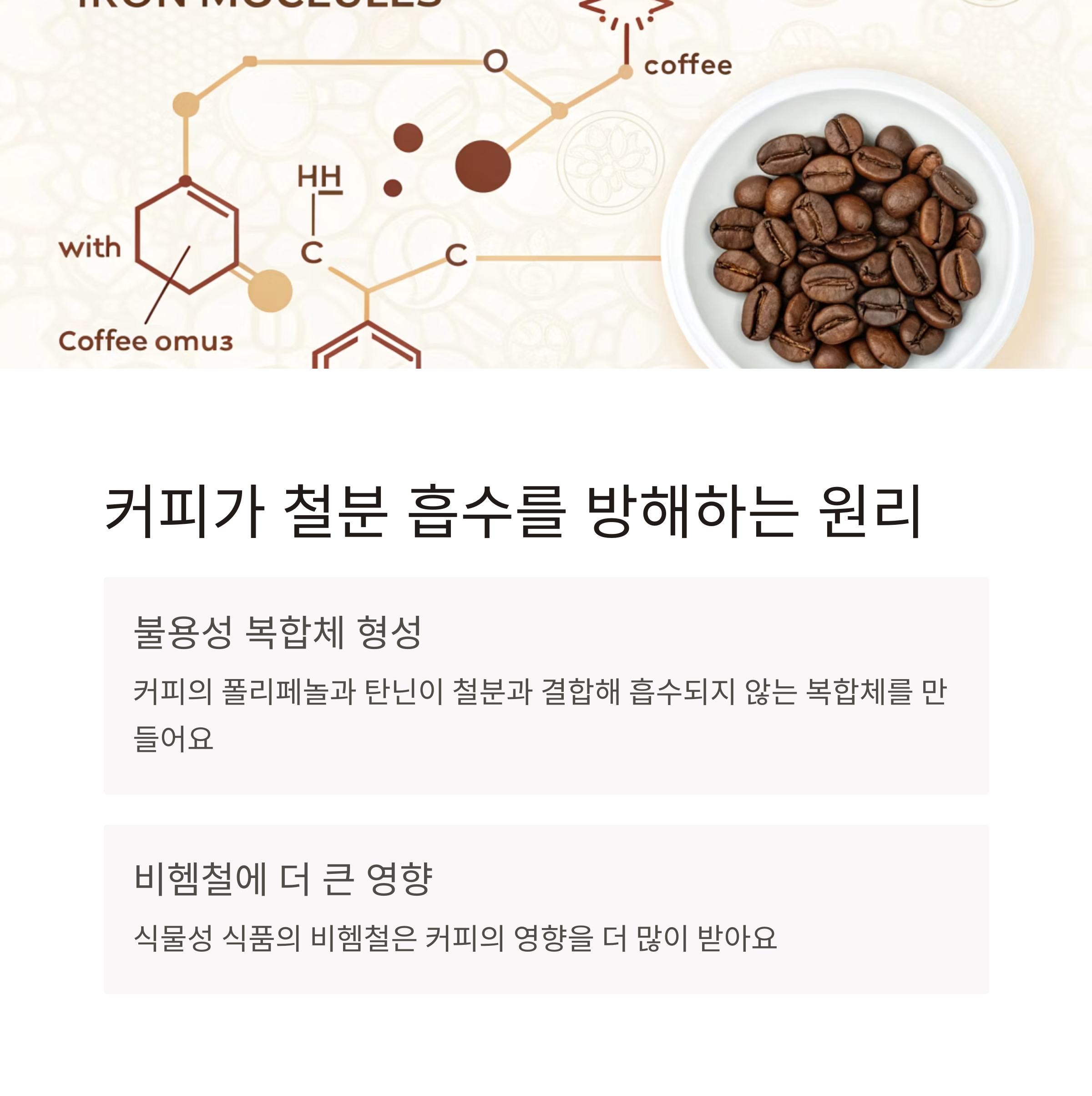 철분 보충제