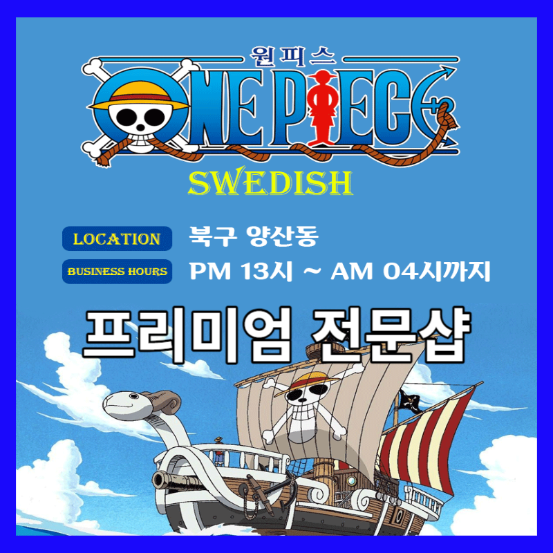  전남 광주 양산동 원피스 스웨디시 구인공고