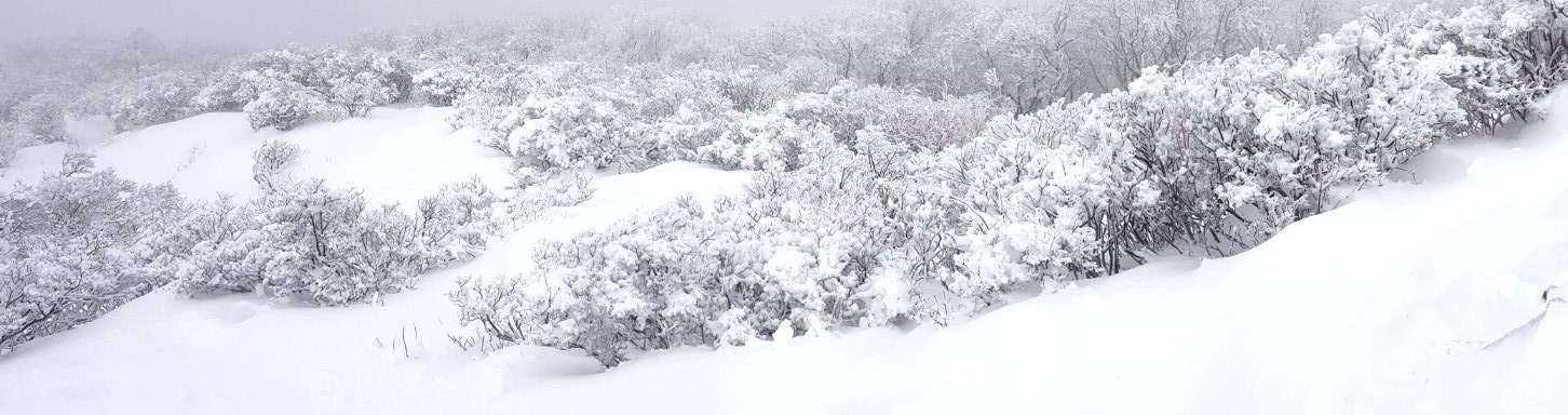 울산 가지산 설경