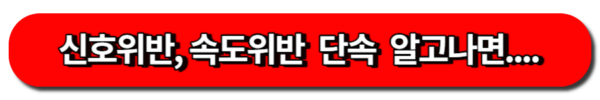 카메라 찍혔을까? 안찍혔을까? 신호위반, 속도위반 카메라 단속 피할 수 있을까?
