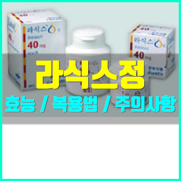  라식스정 효능 의약품 정보