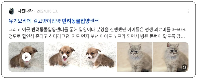 반려동물 입양_2_subsection