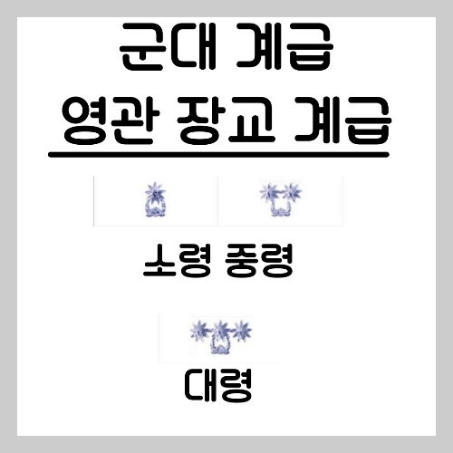 대한민국 군대, 계급 체계, 공무원 직급, 복무 기간, 정년, 비교 분석 (2)