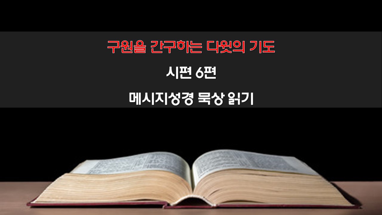 시편6편 메시지성경 묵상 읽기