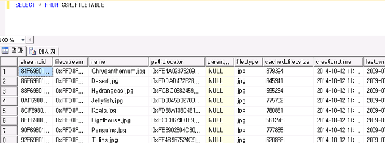 Transact-SQL(T-SQL) #3 - FILE TABLE