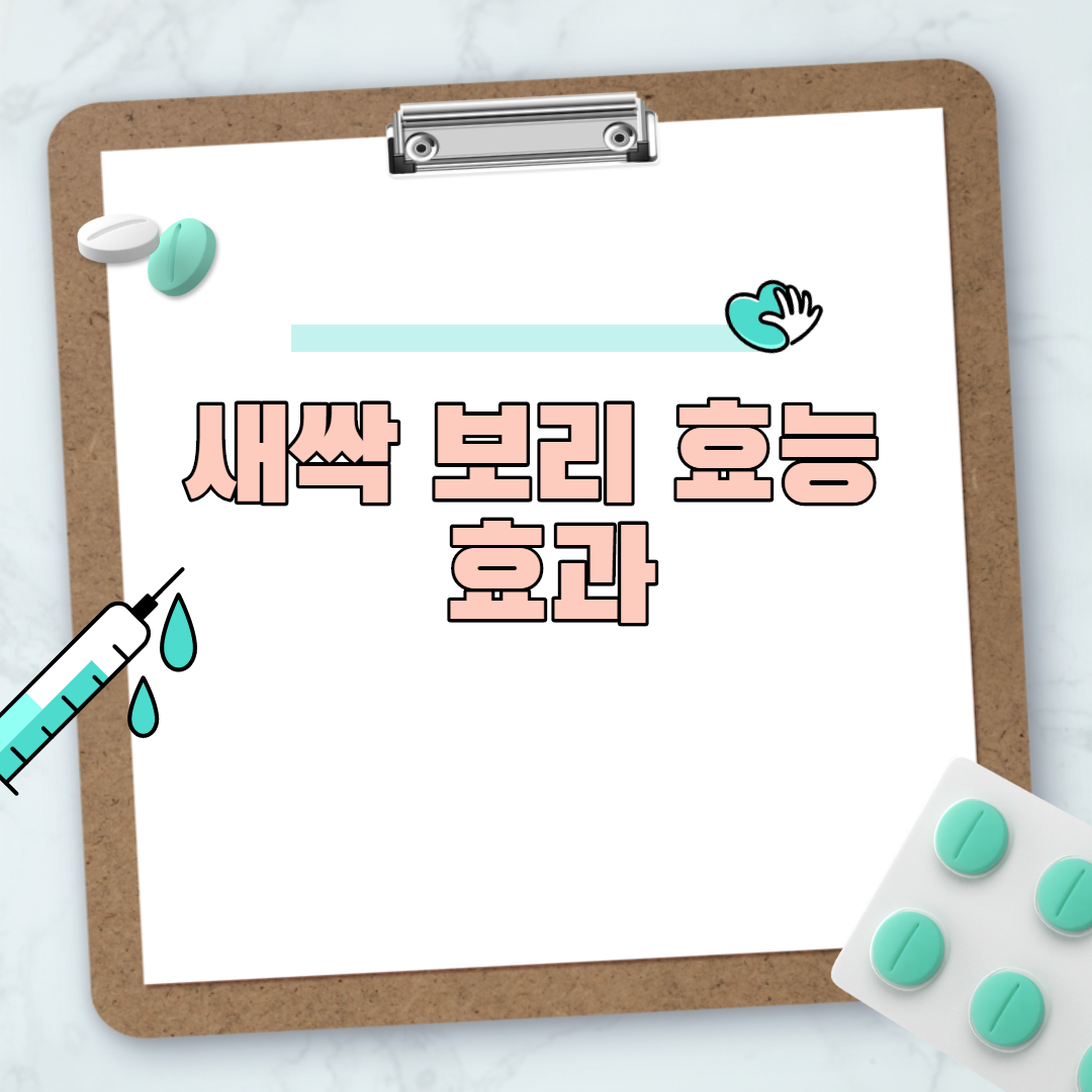  새싹 보리 효능 효과