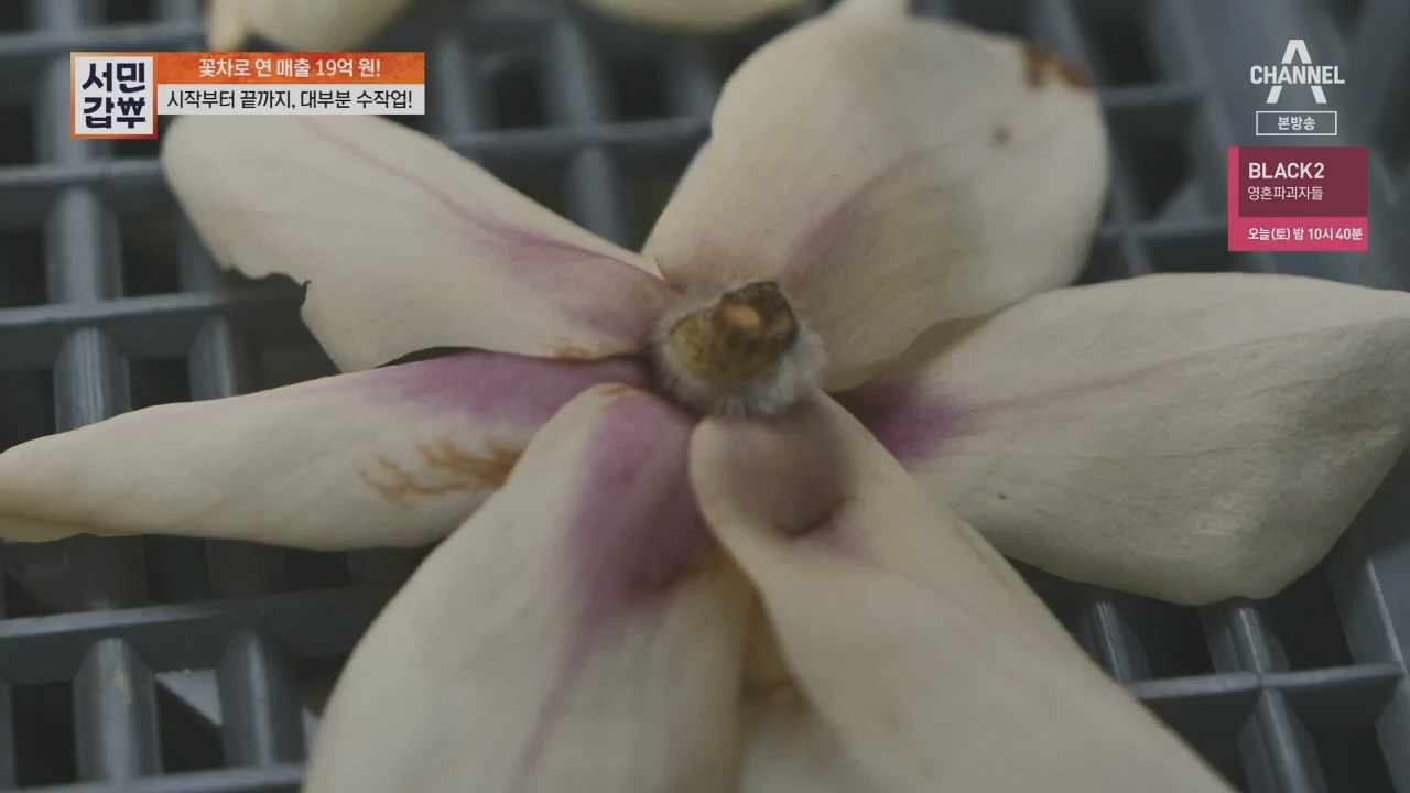 서민갑부.E431.230416p.H264-F1RST.mp4_20230417_203830.453.jpg