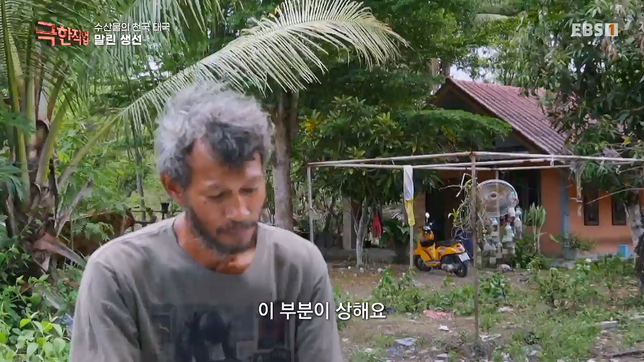 TV - 전 국민의 평생학교 EBS수산물의 천국 태국, 새우 양식과 말린 생선.mp4_20240604_201810.674.jpg