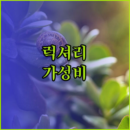 카세로지 vs 소노캄 제주, 럭셔리 