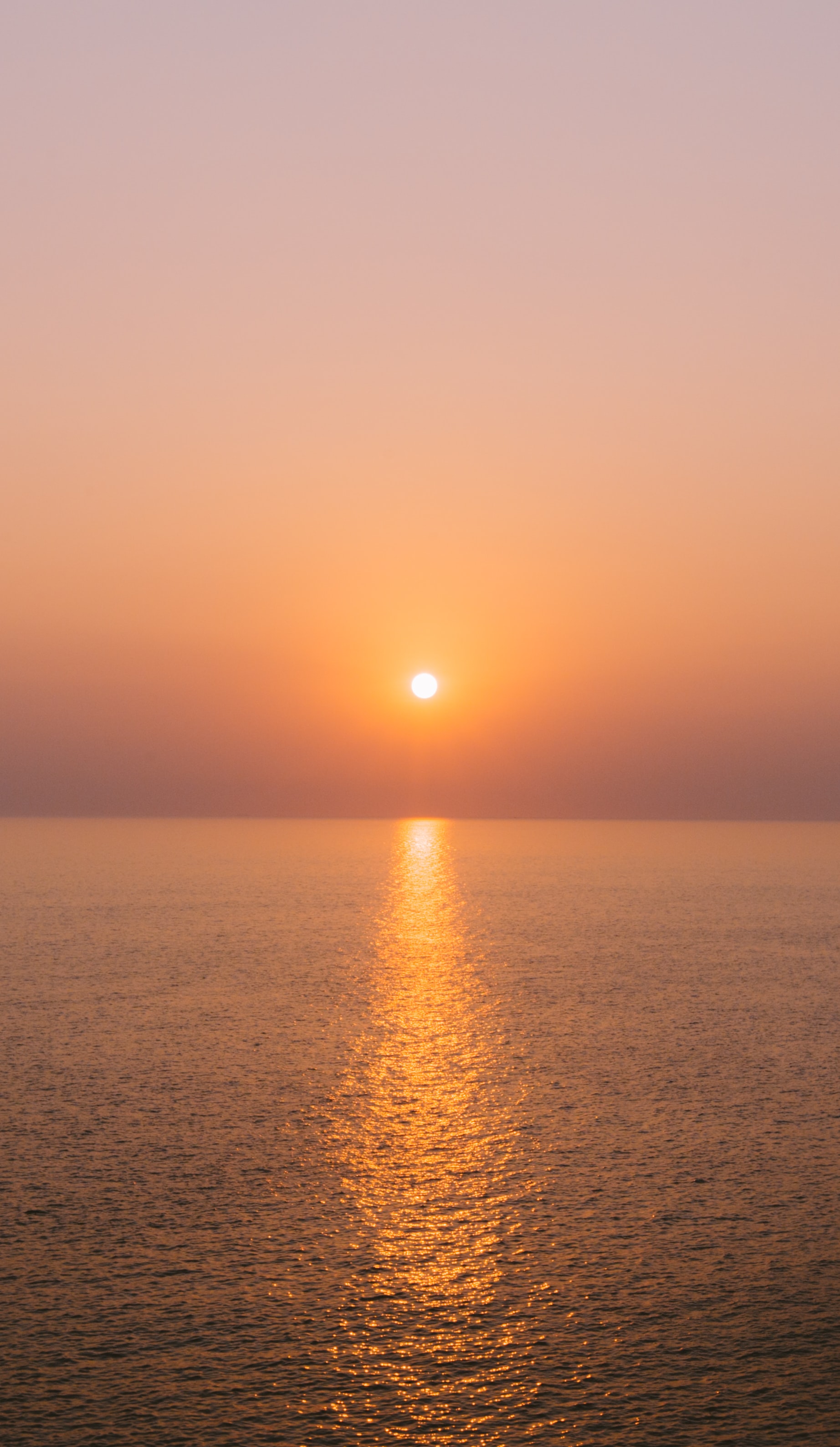 sun1