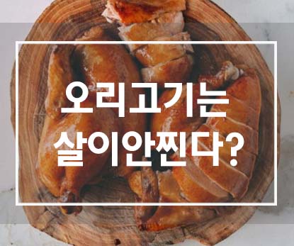  오리고기는 살이 찌지 않는다 ?