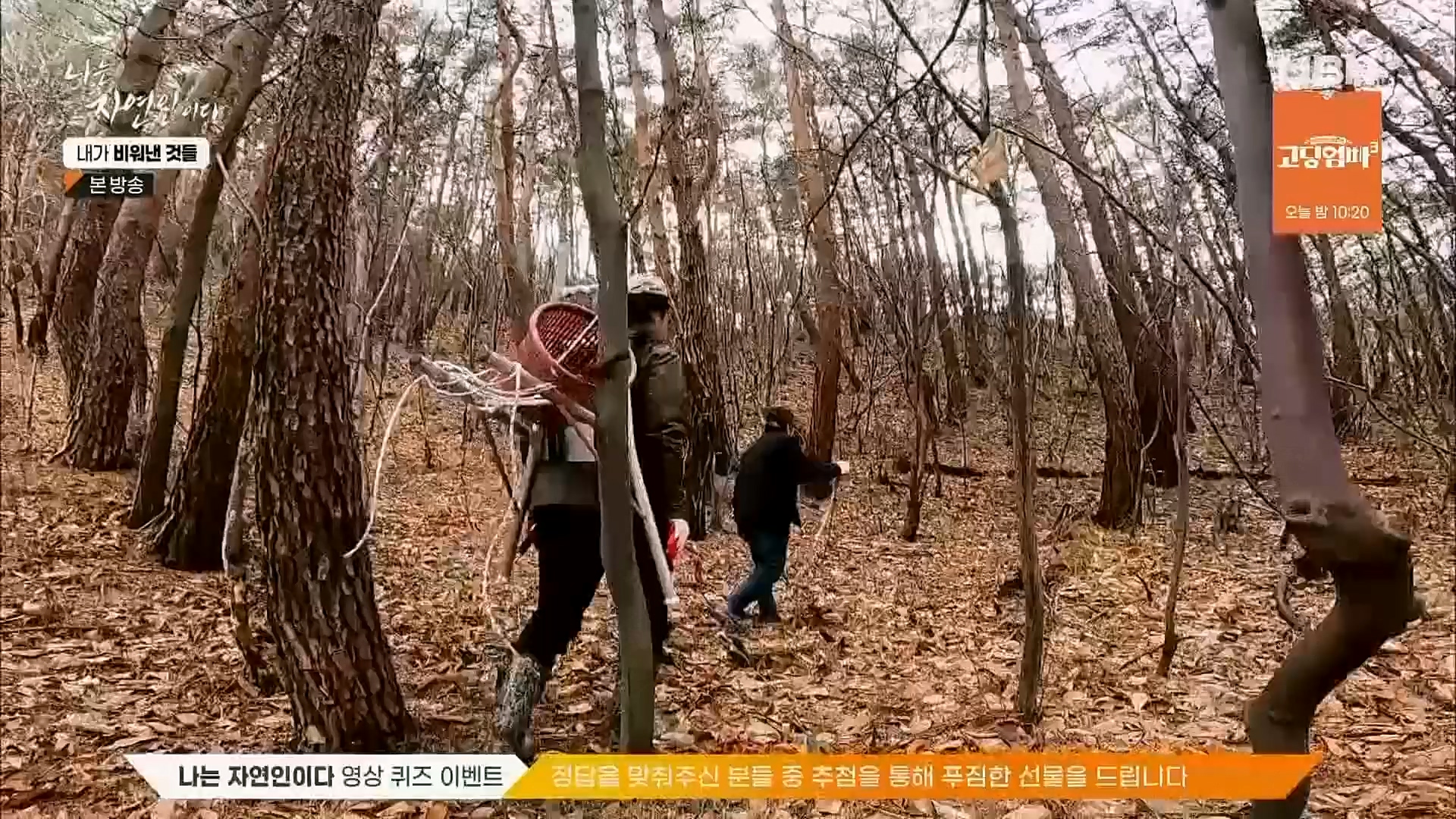 나는 자연인이다.E543.230301p.H264-F1RST.mp4_20230302_192645.866.jpg