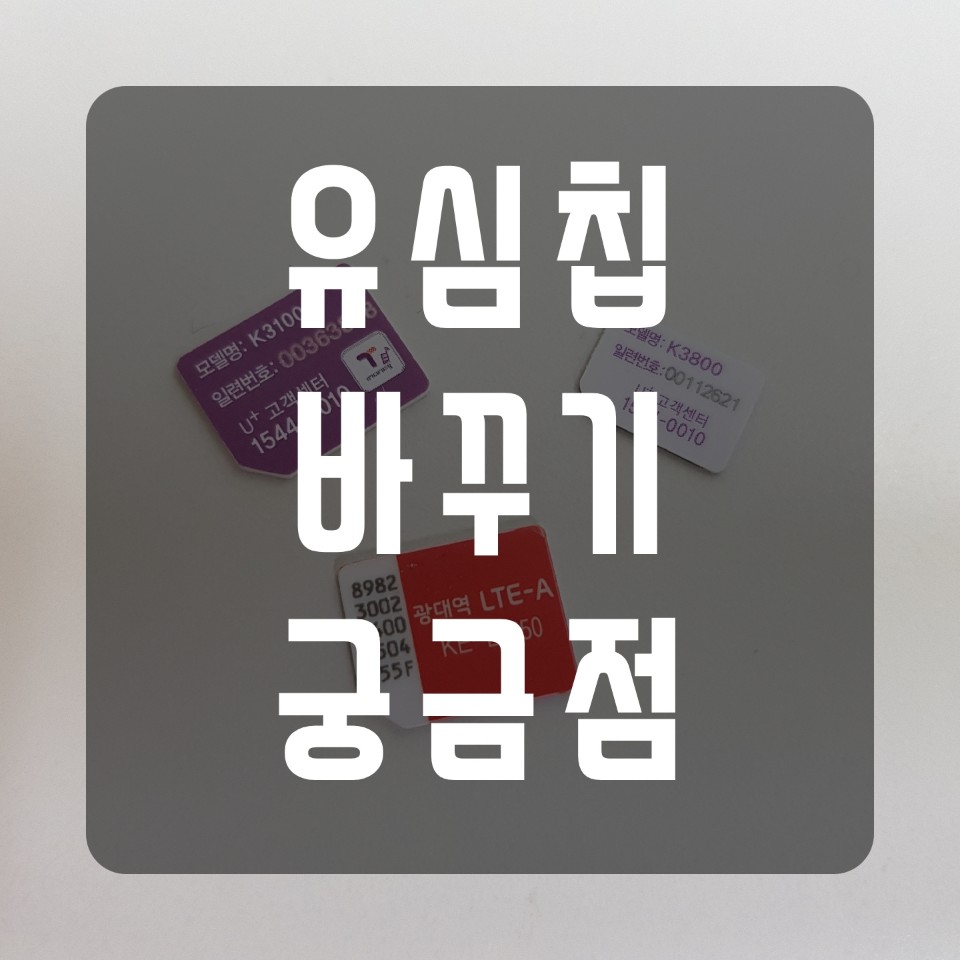  유심칩 바꾸기, 구매 가격과 바꾸면 달라지는 점