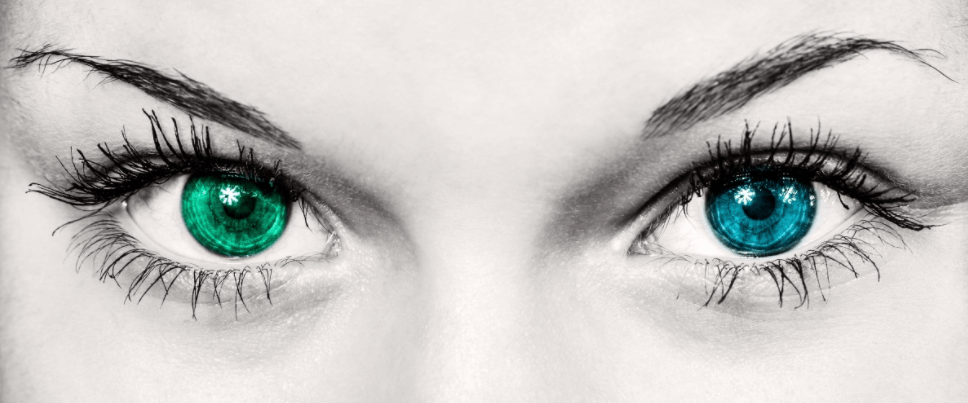 초록색의-왼쪽눈과-파란색의-오른쪽눈