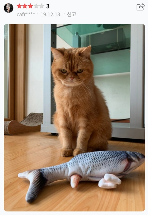  고양이 캣닢 장난감 사용 후기.jpg