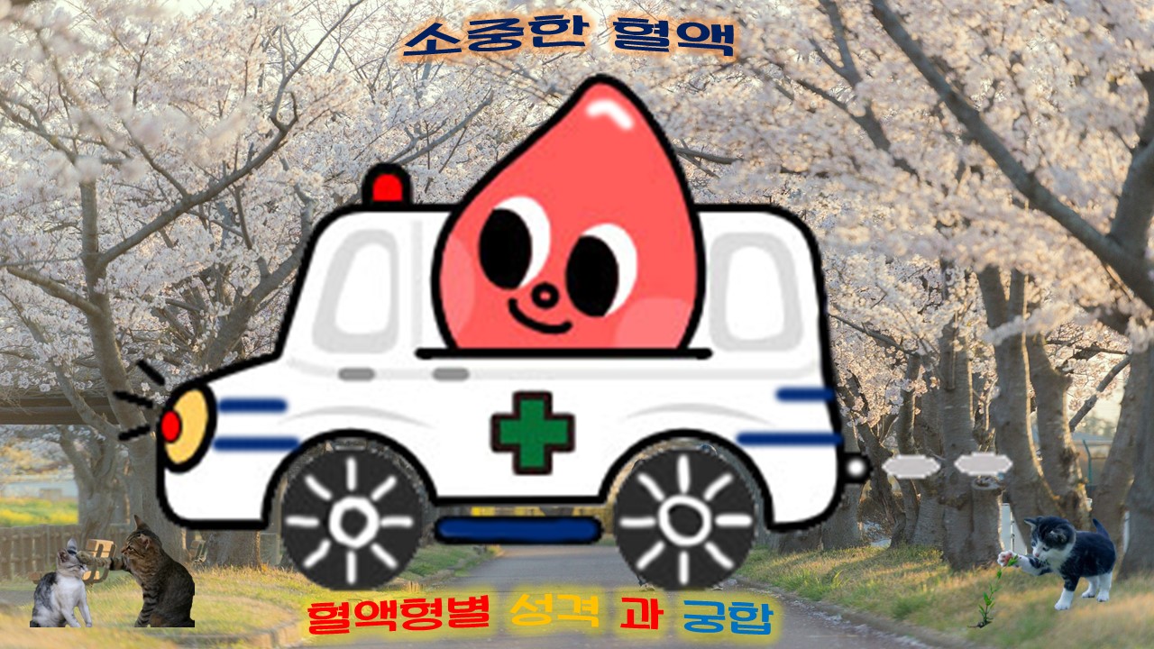  혈액형별 성격과 궁합