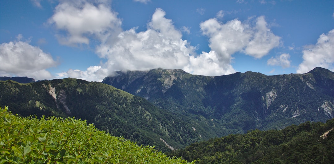 Taroko