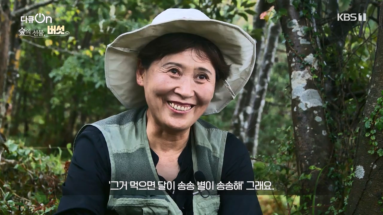 다큐 온.E227.231120p-NEXT.mp4_20231121_203657.273.jpg