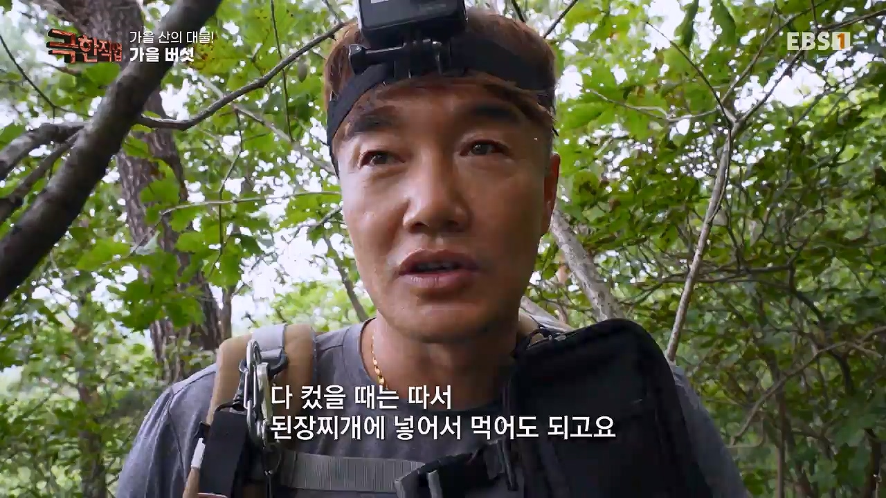 TV - 전 국민의 평생학교 EBS가을 산의 대물! 석청과 버섯.mp4_20230916_171656.441.jpg