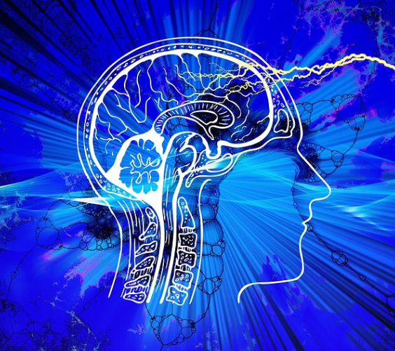 일론 머스크는 자신이 이끄는 스타트업인 뉴럴링크(Neuralink Corp.)에서 최초의 인간 환자에게 뇌 이식이 이루어졌다고 발표했다