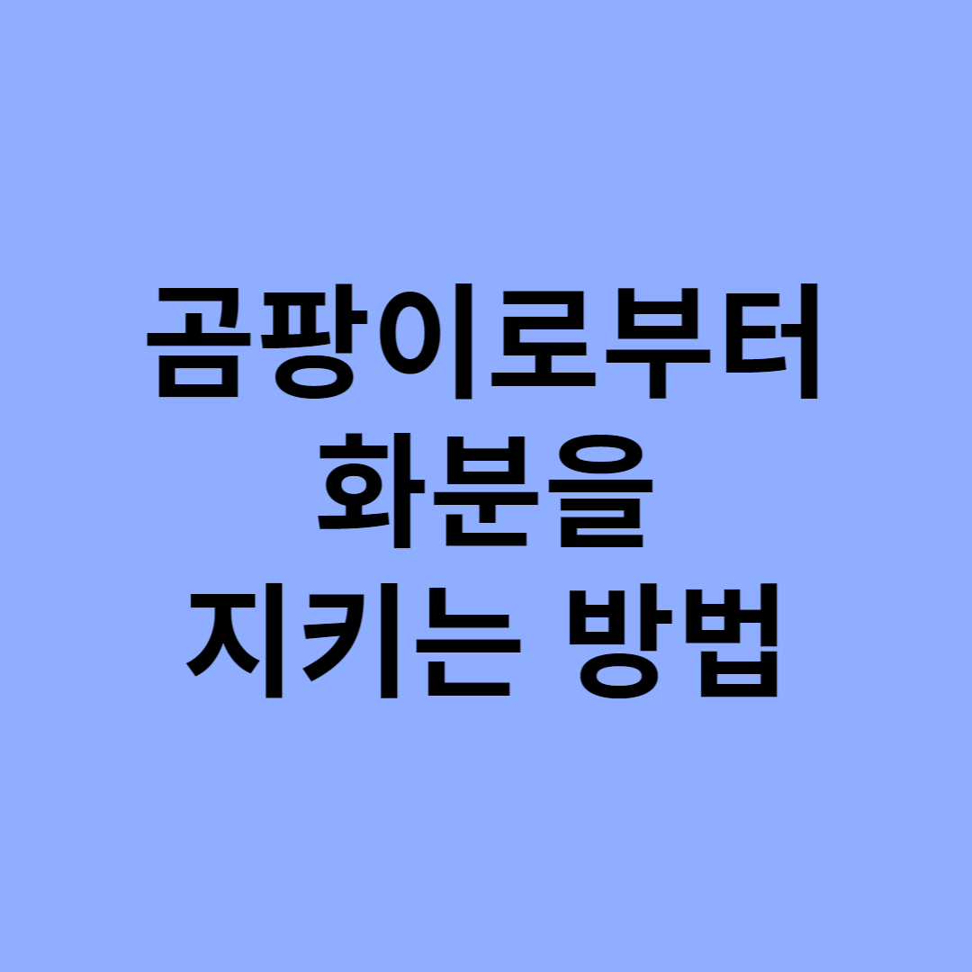  곰팡이로부터 화분을 지키는 방법
