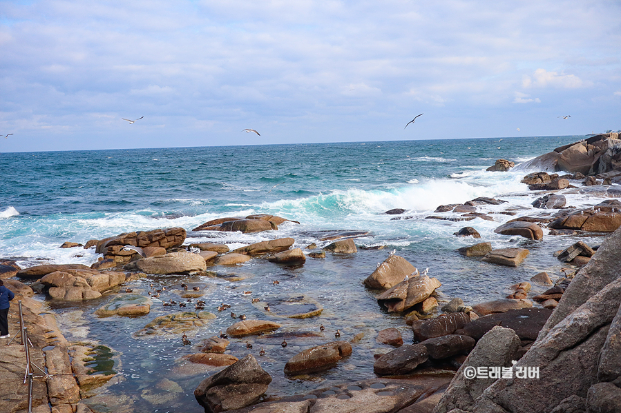 동해바다 볼거리 양양 휴휴암 20