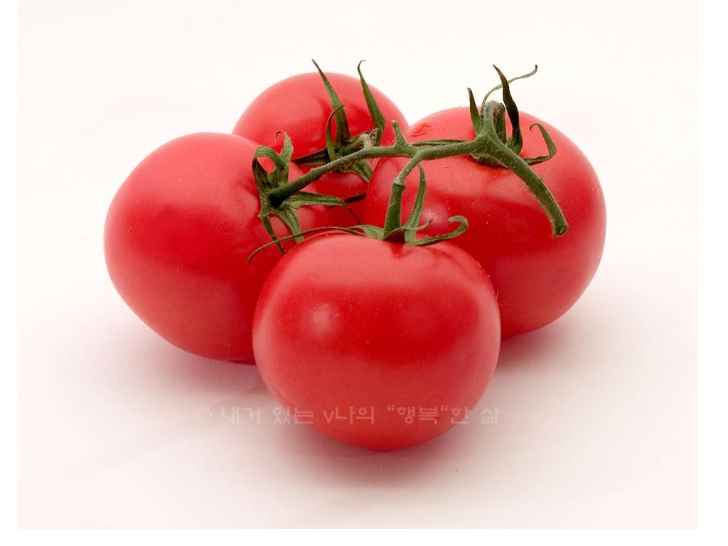  동맥경화, 노화방지, 암예방에 좋은 토마토