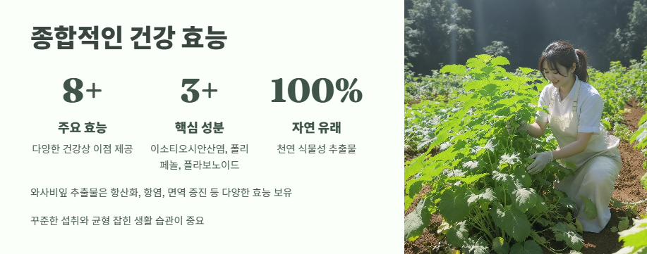 와사비잎 추출물 효능 완벽 정리 14