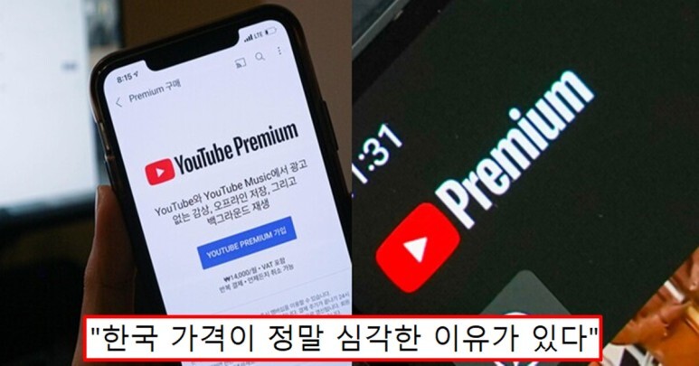  '유튜브 프리미엄 가격 인상 14,900원' 한국 이용자들 분노한 진짜 이유