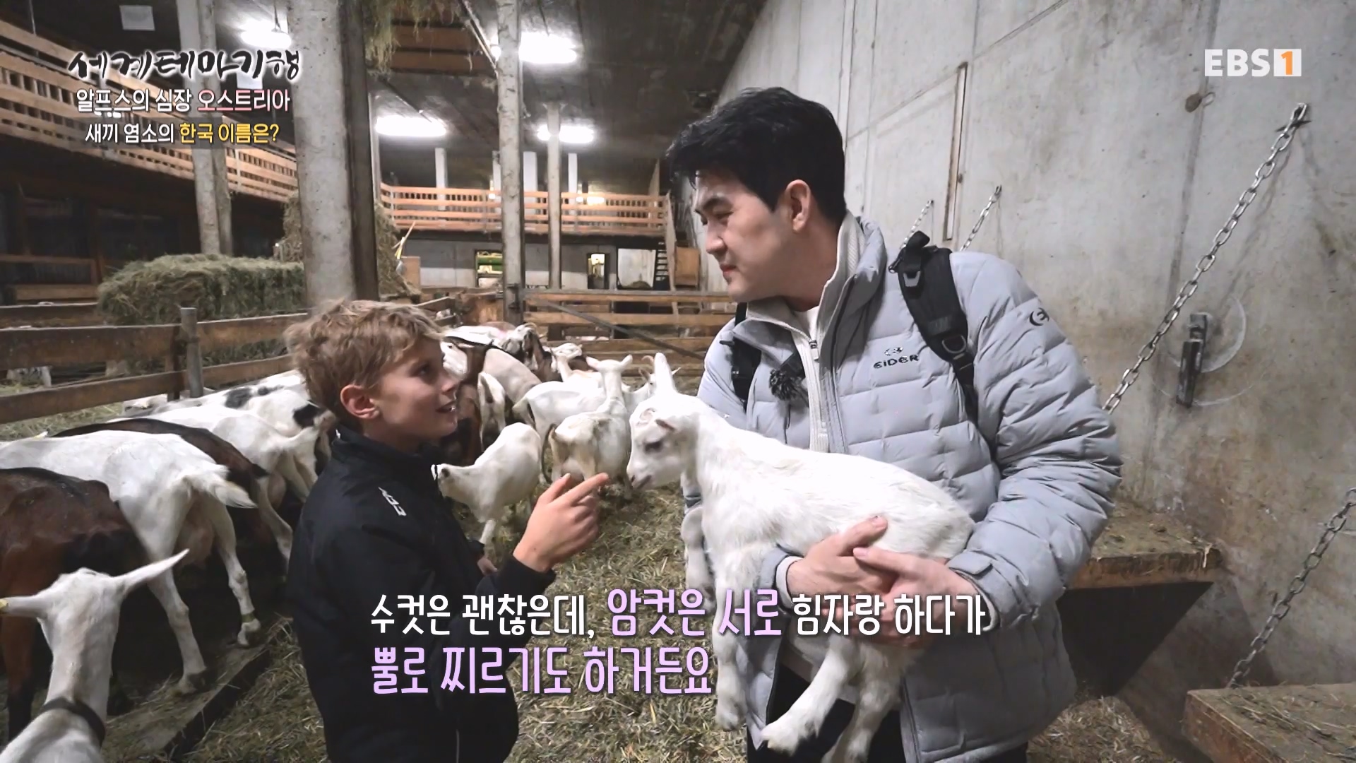 세계테마기행 231214 알프스의 심장 오스트리아 -달콤한 도시, 브레겐츠·빈0p.mp4_20231231_180209.151.jpg