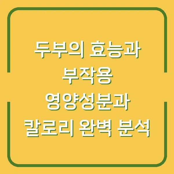 두부의 효능과 부작용 영양성분과 칼로리 완벽 분석