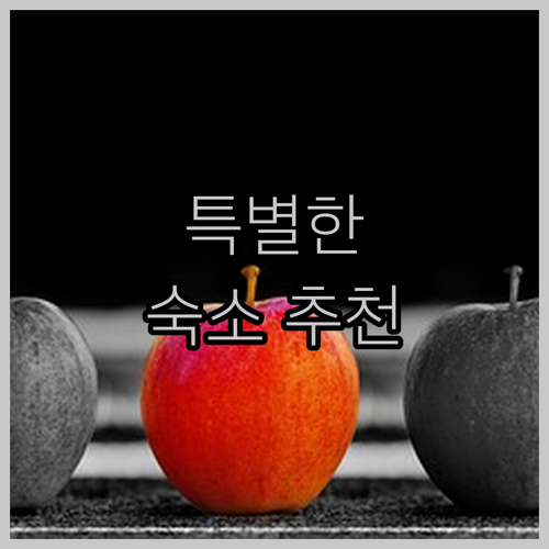 베니스 여행을 더욱 특별하게 만들어 