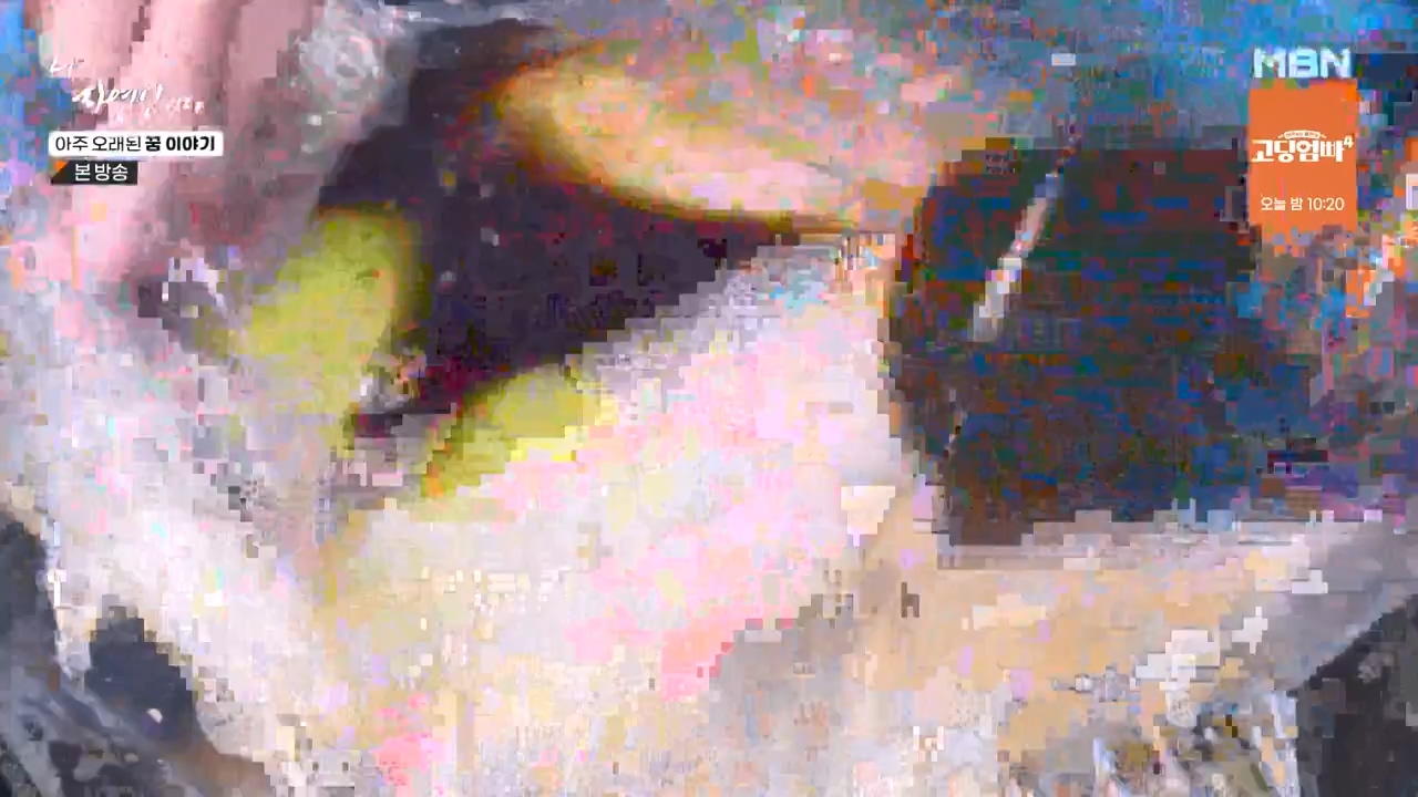 나는 자연인이다.E594.240222p-NEXT.mp4_20240222_195330.298.jpg