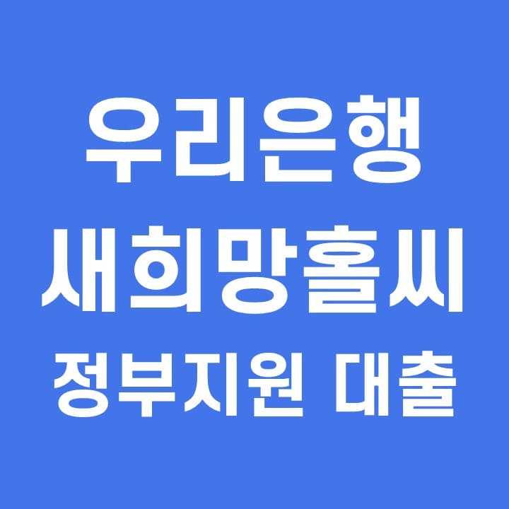  정부지원 저신용자 대출 우리은행 새희망홀씨