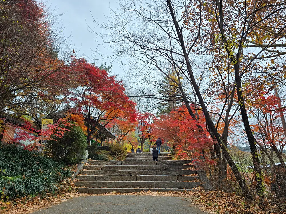 경북 영주 부석사 주차&amp;#44; 입장료&amp;#44; 단풍