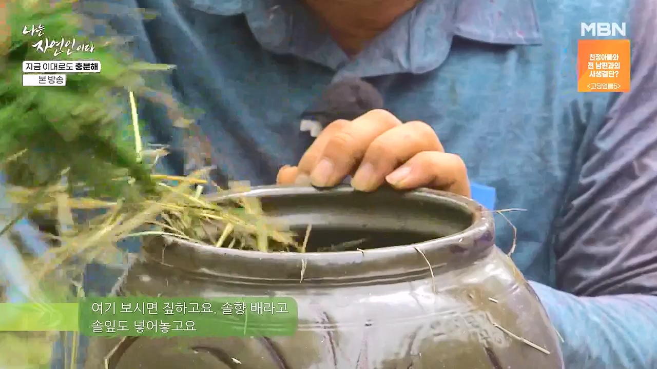 나는 자연인이다.E615.240725p-NEXT.mp4_20240725_200722.141.jpg