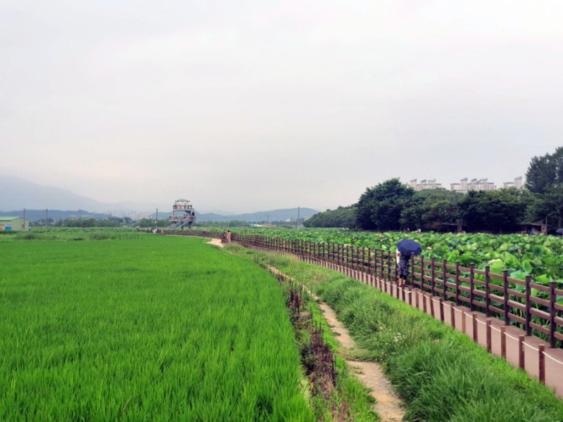 주말 가볼만한곳 베스트10 대구여행 가볼만한곳 팔공산 4