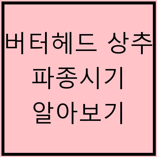 버터헤드 상추 파종시기