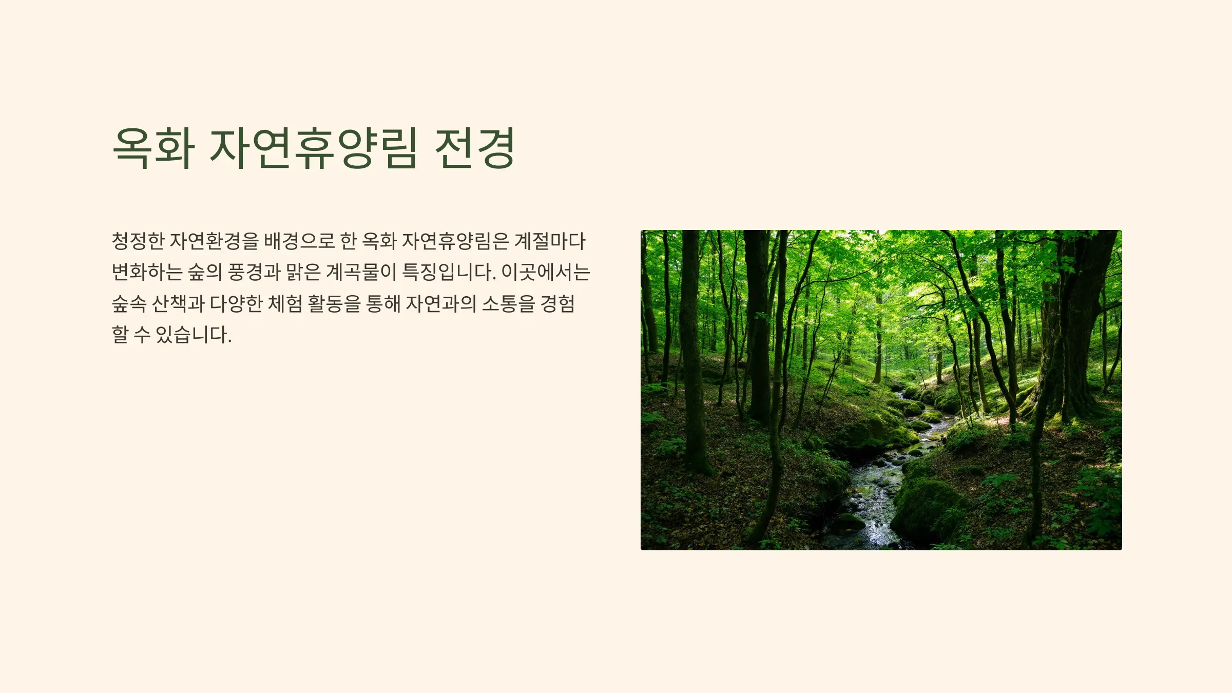 옥화 자연휴양림 소개