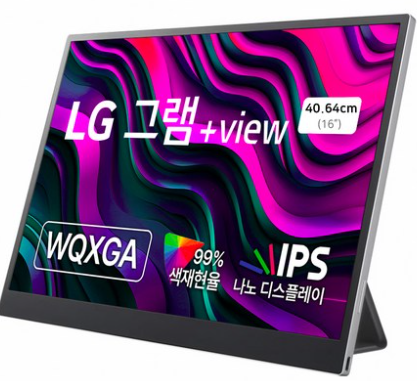 LG전자 WQXGA 그램 +View – 고화질 & 전문가용 프리미엄 모니터