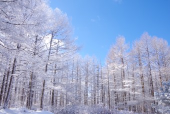 겨울여행명소