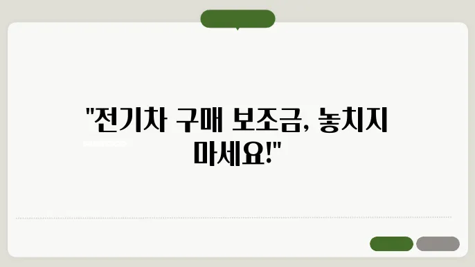 전기자동실수자션 보조이 볛리입니다