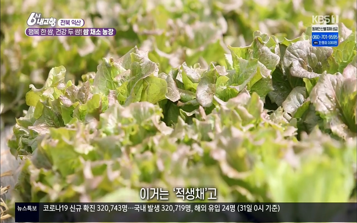 6시 내고향.E7501.220332p.H264-F1RST.mp4_20220402_193613.008.jpg
