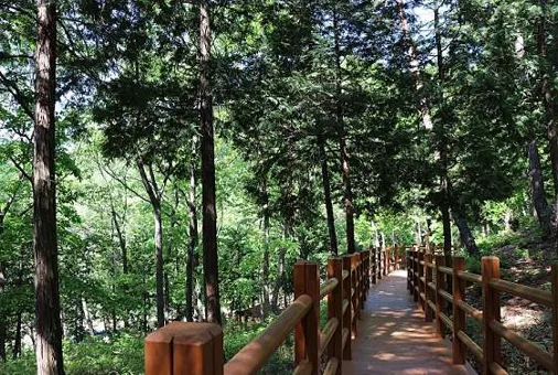 국립대운산치유의숲