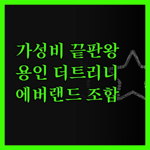 더트리니 어반스위트, 용인 가성비 끝