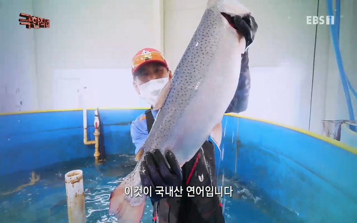 TV - 교육의 중심 EBS희귀 양식의 세계 - 참다랑어, 연어, 쏘가리.mp4_20220829_194044.389.jpg