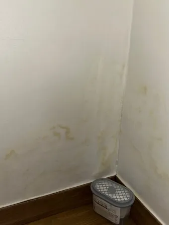 벽지 곰팡이 제거법 원인 파악과 셀프 클리닝 요령 정리_3