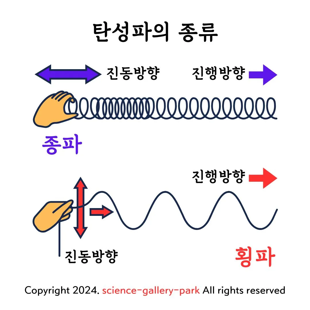탄성파의 종류